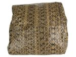 Jimmy Choo Snake Lohla Bag Fashion