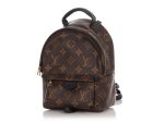 Louis Vuitton Mini Monogram Palm Springs Backpack Online